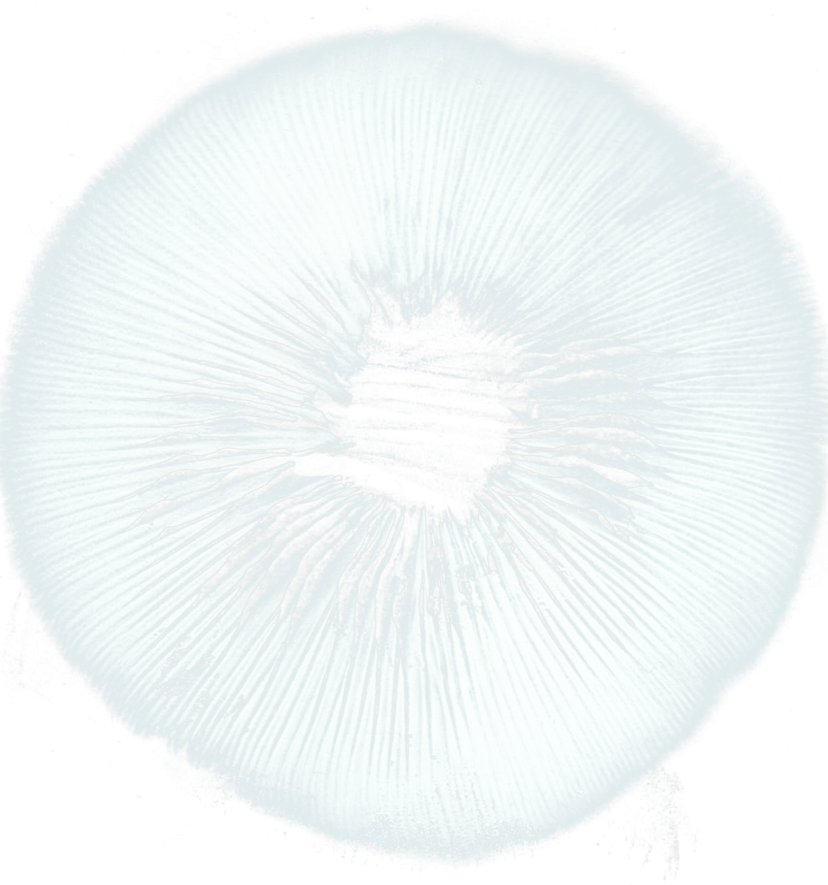 Spore Print T-Shirt Design 1