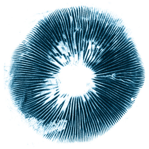 Spore Print #006